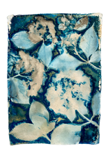 Load image into Gallery viewer, Blue and white Hydrangea botanical print A4
