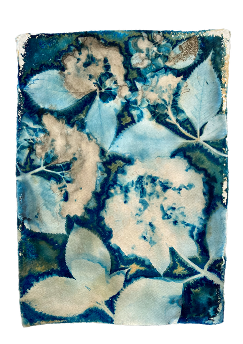 Blue and white Hydrangea botanical print A4