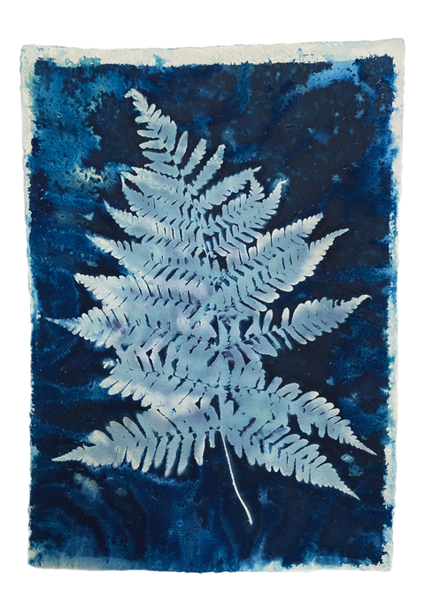 Blue and white fern print A3