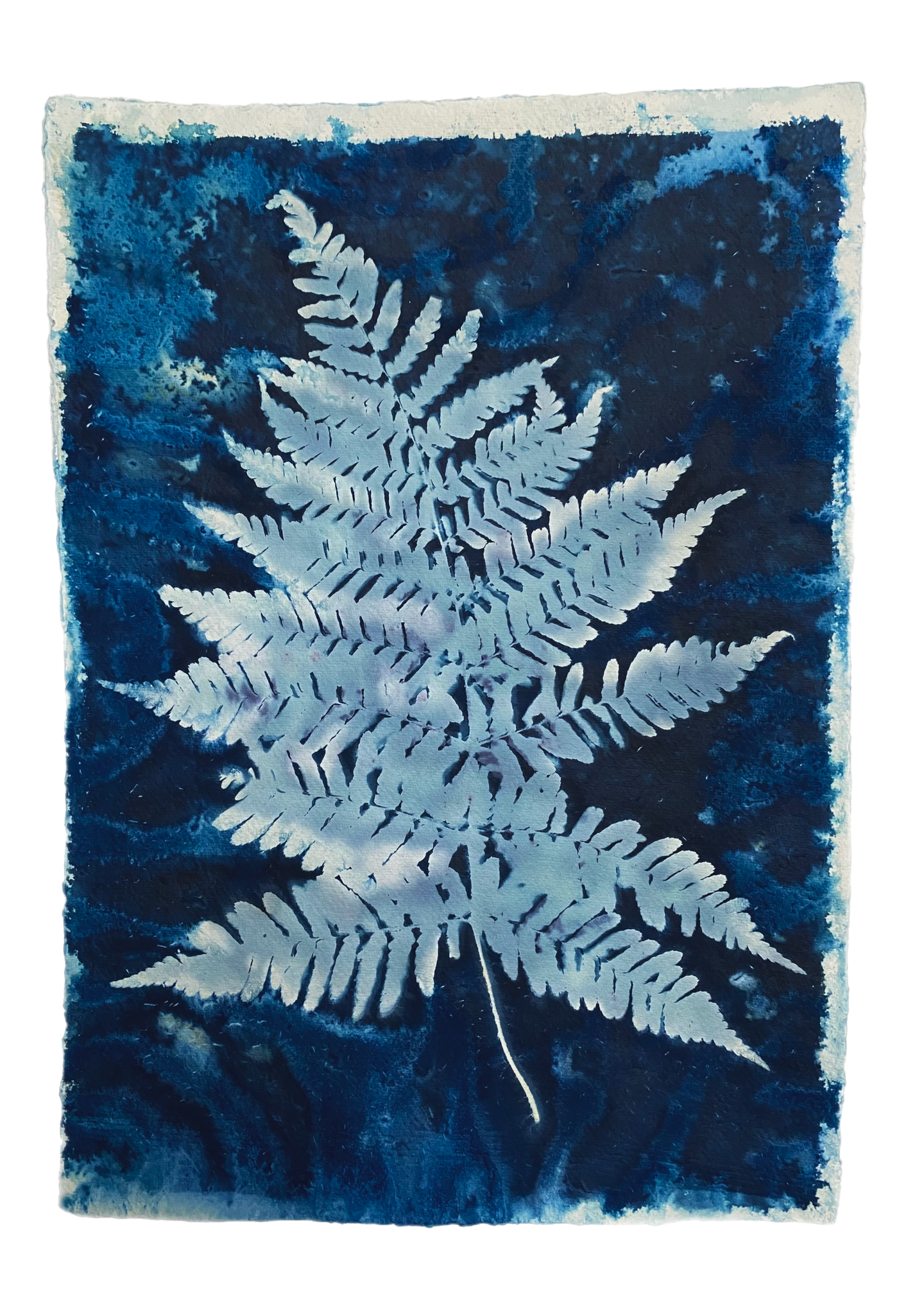 Blue and white fern print A3