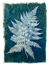 Load image into Gallery viewer, Fern
