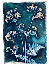 Load image into Gallery viewer, CowParsley botanical print in shades of blue 
