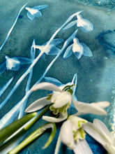 Load image into Gallery viewer, Snowdrops
