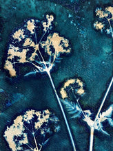 Load image into Gallery viewer, CowParsley botanical print in shades of blue 
