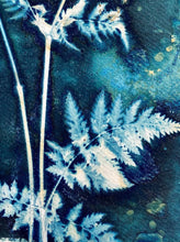 Load image into Gallery viewer, CowParsley botanical print in shades of blue 
